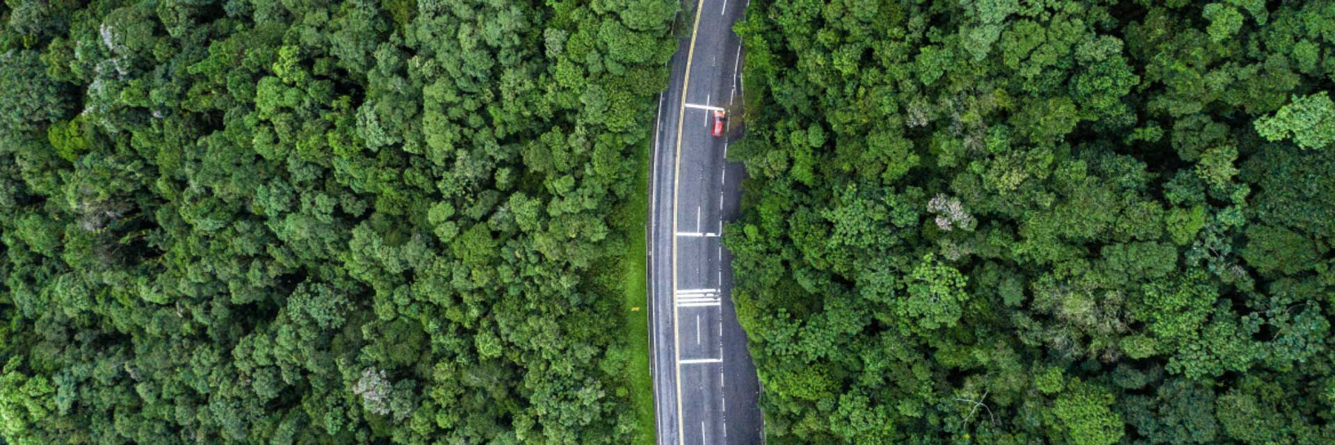 Prime Lithium Starter