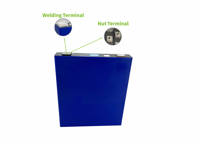 Terminals Option of Lifepo4 100ah Battery