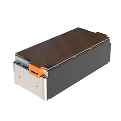 Lithium ion battery module