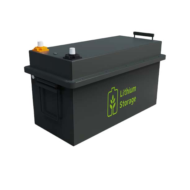 LS8088Pro Lithium Starter Detail